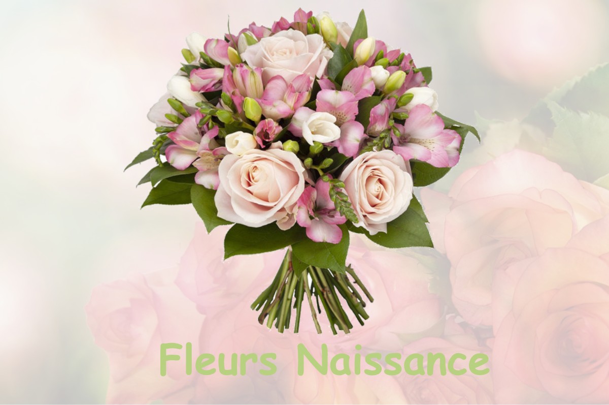 fleurs naissance VESAIGNES-SUR-MARNE